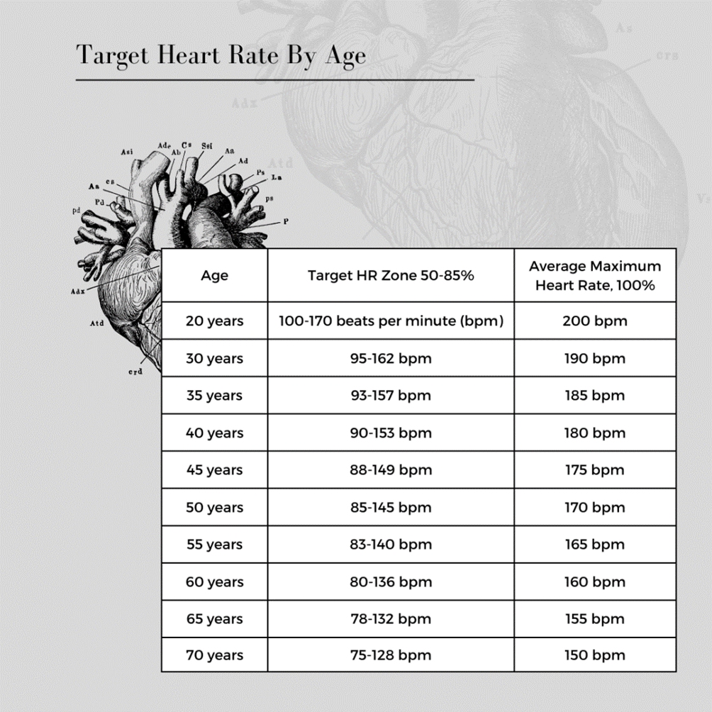Target Heart rate goals by age